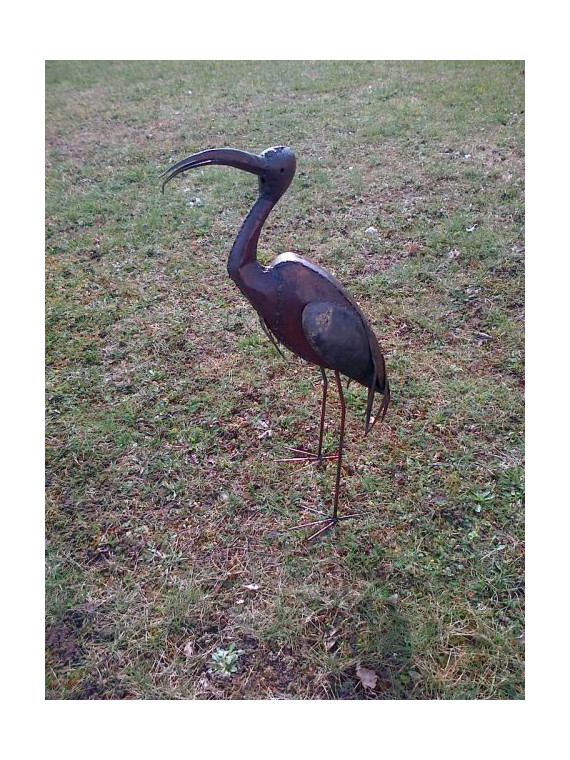 Ibis en métal