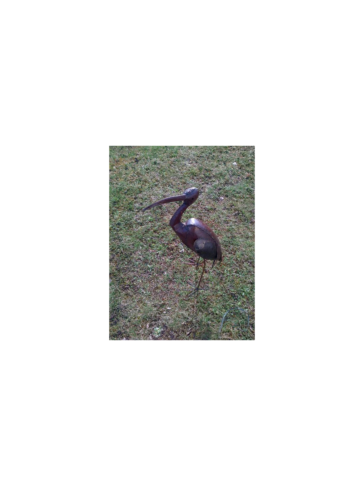 Ibis en métal