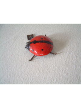 coccinelle 