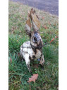 Grand lapin  blanc en métal  recyclé
