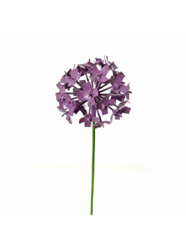 Fleur d'allium violet