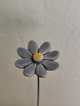 Fleur marguerite petite en...