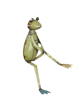 Grenouille  jambe levée  en...