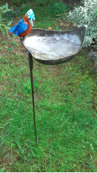 Collection mangeoires, abreuvoirs , porte boule graisse et  porte-graines
