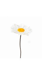 Fleurs  en métal  recyclé